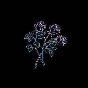 Meet your Posher, Ethan